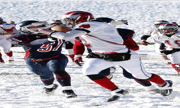 索契冬奥会花样滑冰单,索契冬奥会上花样滑冰项目的运动员是谁